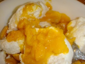ice cream with mango puree