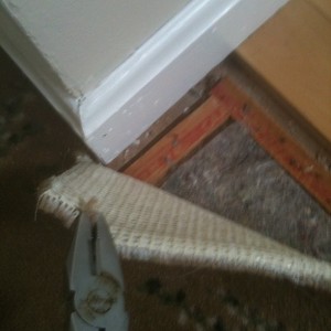 how to remove carpet