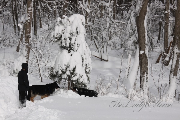 Leo n Marina in snow