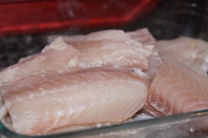 Boneless  fish fillets seasoned
