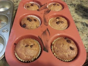 chocolate chip cup cakes