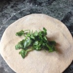 coriander roti1 (480x640)