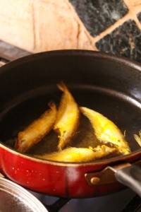 fry fish